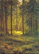 Ivan Shishkin Coniferous Forest, Sunny Day Germany oil painting artist